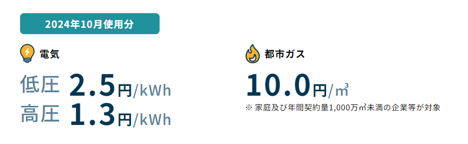 2024年10月使用分　電気・ガス料金支援　エレクトリックライフ　ELECTRICLIFE